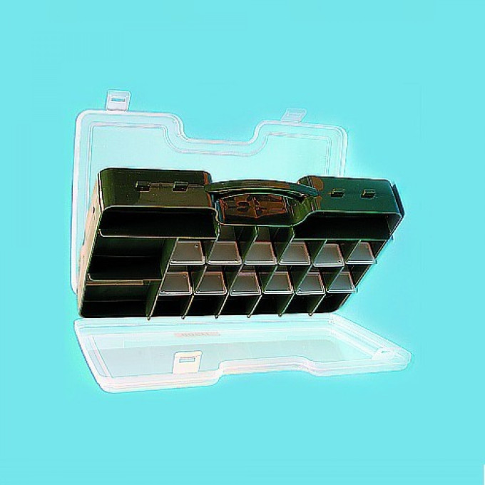 Коробка рыболовная двухсторонняя SALMO Double Sided 290х200х60 1500-81